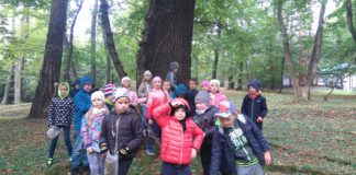 Lekcja przyrody w parku