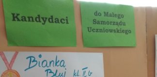 Wybory do Małego Samorządu Uczniowskiego