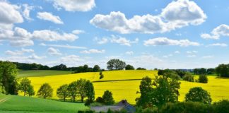 Konkursy geograficzne organizowane przez p. Iwonę Mermer – konkurs plastyczny