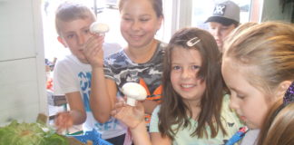 Wycieczka edukacyjna Świetliczaków