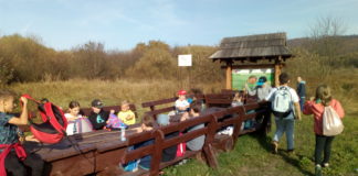 Świętujemy Międzynarodowy Dzień Krajobrazu z klasą 4 b