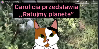 Konkurs na etiudę filmową.