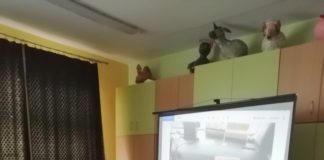 Ciekawe spotkanie w świetlicy