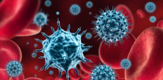 Informacja Dyrektora Szkoły.