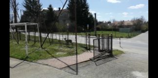 Przyroda opanowuje nasze boisko szkolne.