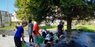 Akcja LOP – sadzenie roślin na terenie szkoły