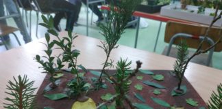 Makieta lasu – pomysłowe prace 3c