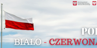 Zagłosuj na Sanok w projekcie „Pod biało – czerwoną”.