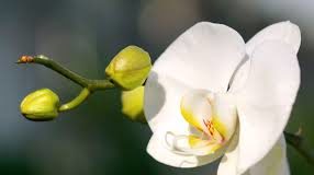 DZIEŃ EDUKACJI NARODOWEJ