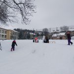 IMG20210218124230[1]