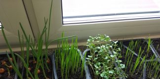 Pamiętajcie o ogrodach