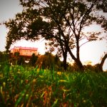 Arkadius Sikora 7a ZAMEK