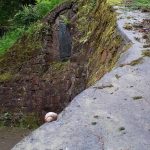 Bartek Joniak 6c Zapomniane Źródełko