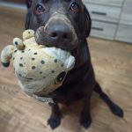 IMG20210505201602_00 (2)