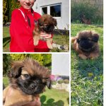 IMG_20210505_183218 (1) (2)