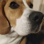 IMG_20210505_210429 (3)