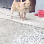 IMG_20210506_143510 (1)