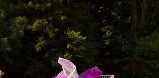 „Sport w obiektywie”