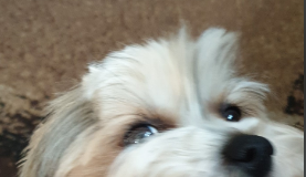 „Każdy ma jakiegoś bzika, każdy jakieś hobby ma ….”