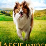 lassie-wroc-oficjalny-plakat-cut_9aff3098d1