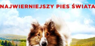 Przed dużym ekranem.