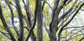 Jesienna wycieczka do parku