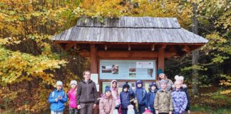 Leśna wycieczka klasy 3a