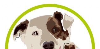 Akcja pomocy zwierzętom