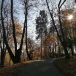 IMG_20211028_110339
