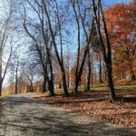 IMG_20211028_111856