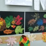 IMG_20211109_080427