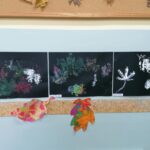 IMG_20211109_080528