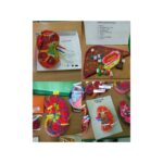 IMG_20211220_163944