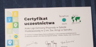 Podsumowanie pracy LOP