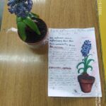 IMG_20220302_093447