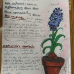IMG_20220302_093452