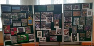 Konkurs fotograficzny ZWIASTUNY WIOSNY