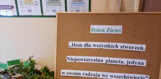 „Ogródek w doniczce”