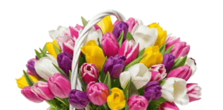 Życzenia z okazji Dnia Edukacji Narodowej