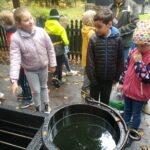 IMG_20221019_101828