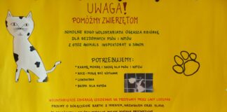 POMÓŻMY ZWIERZĘTOM