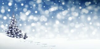 Życzenia z okazji Świąt Bożego Narodzenia.