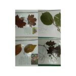 IMG_20221219_170738
