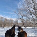 IMG_20230209_092445