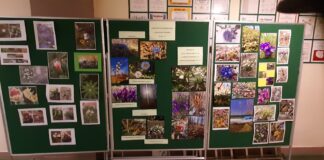 KONKURS FOTOGRAFICZNY ,,ZWIASTUNTY WIOSNY”