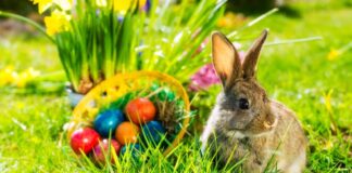 ŻYCZENIA ŚWIĄTECZNE OD UCZNIOWSKIEGO KLUBU SPORTOWEGO „DWÓJKA”