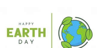 Wyniki szkolnego konkursu informatycznego: „Dzień Ziemi”.