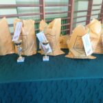 IMG_20230511_135802