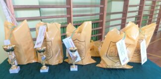 IX MIĘDZYSZKOLNE ZAWODY MATEMATYCZNE DLA UCZNIÓW SZKÓŁ PODSTAWOWYCH „MAŁY SUPERMATEMATYK”