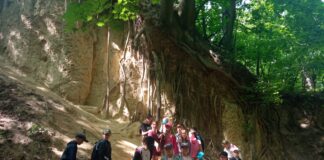 4b podążająca śladami Ojca Mateusza